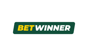 Exploring BetWinner Bookmaker A Comprehensive Guide